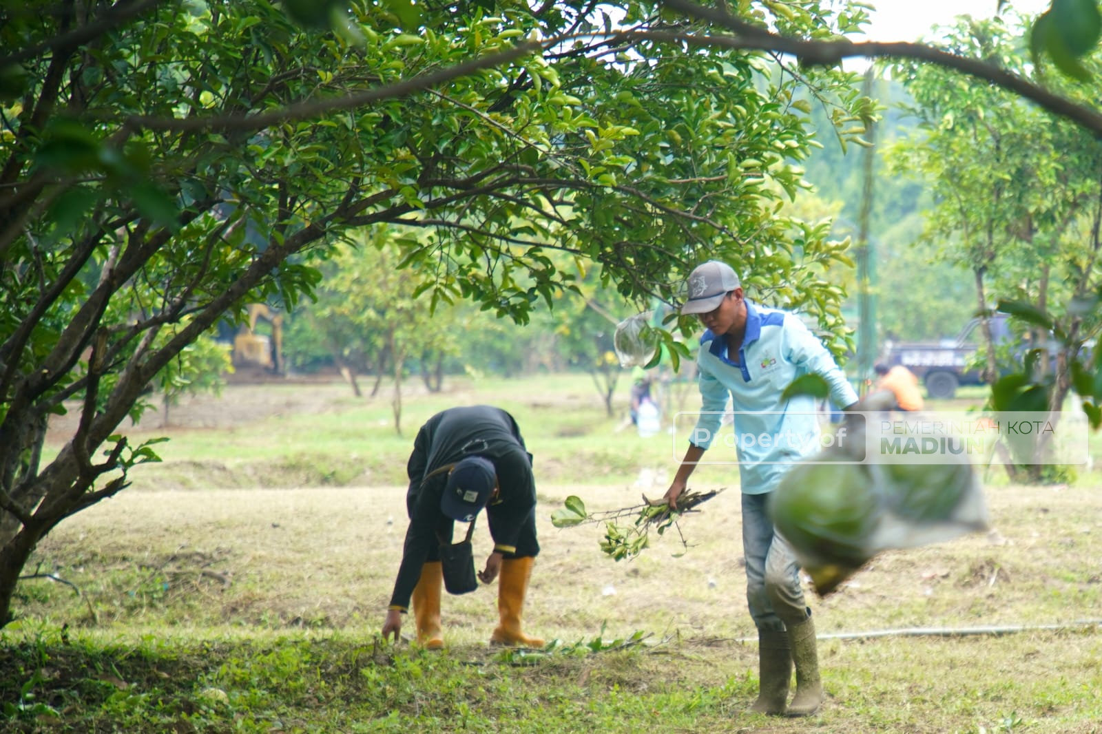 Bahas Pembangunan Mini Zoo, Wali Kota Madiun Gelar Rakor OPD di Ngrowo Bening Edupark