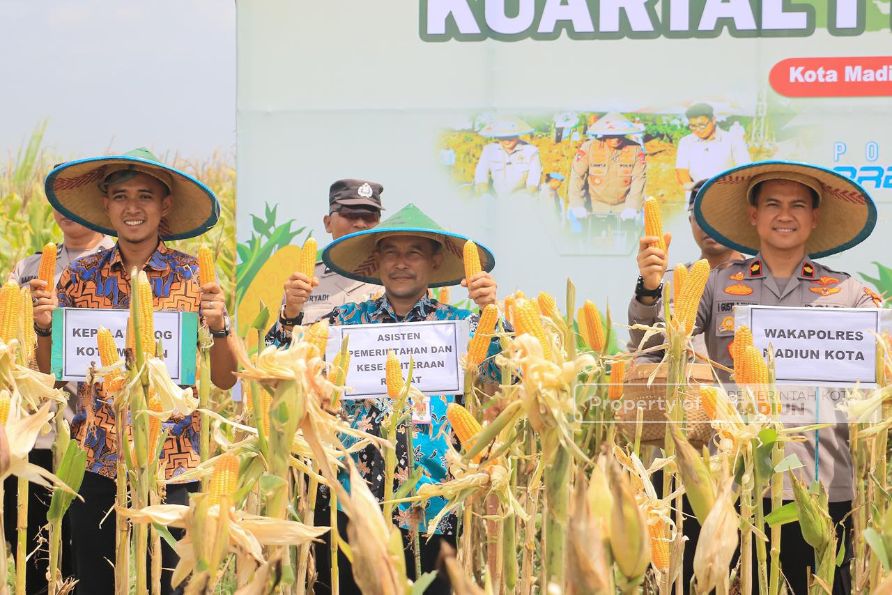 Perkuat Ketahanan Pangan, Pemkot Madiun Bersama Polri dan Forkopimda Gelar Panen Jagung