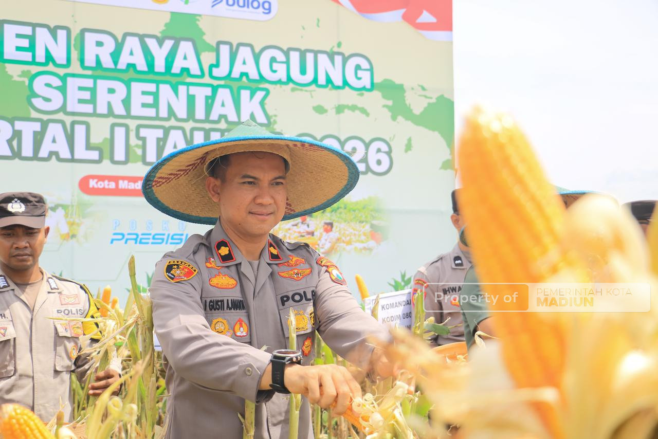 Perkuat Ketahanan Pangan, Pemkot Madiun Bersama Polri dan Forkopimda Gelar Panen Jagung